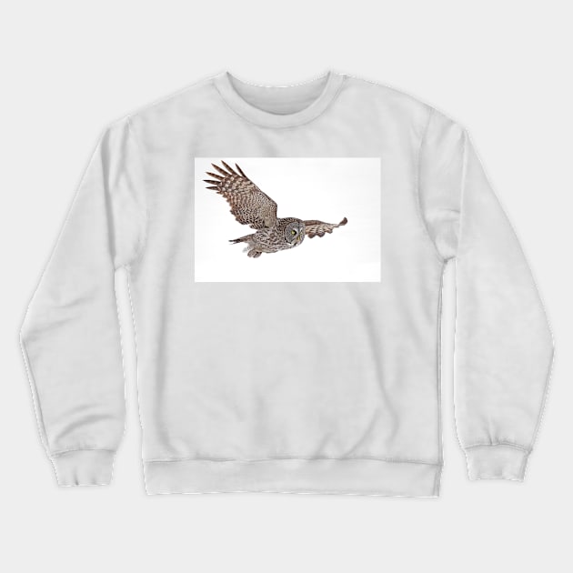 In Flight - Great Grey Owl Crewneck Sweatshirt by Jim Cumming